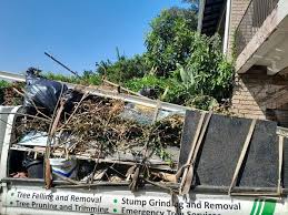 Best Shed Removal  in Basin, WY